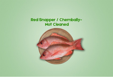 Red Snapper / Chembally (500gm) - Not Cleaned